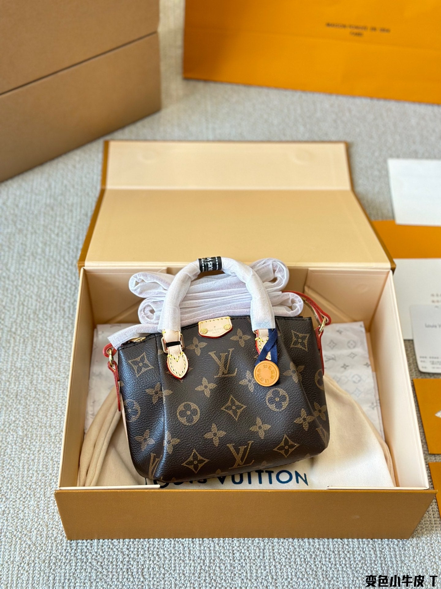 Lv nano custom bag